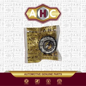 ترموستات برلیانس