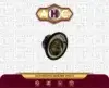 ترموستات آریو 1