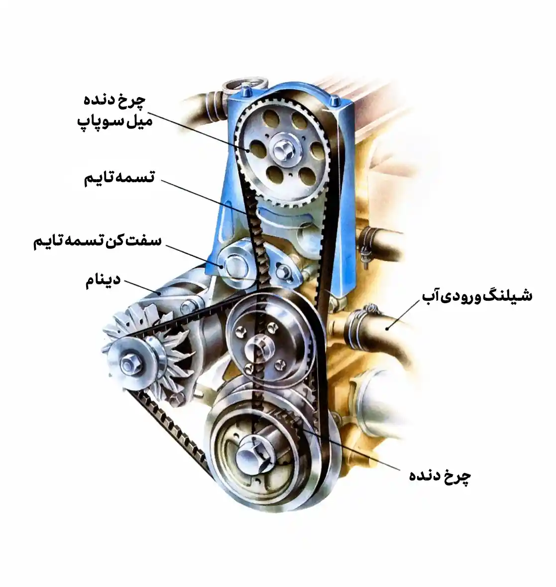 عکس تسمه تایم